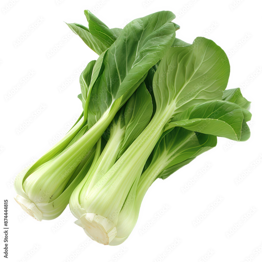 fresh bok choy, transparent background fresh bok choy, transparent background