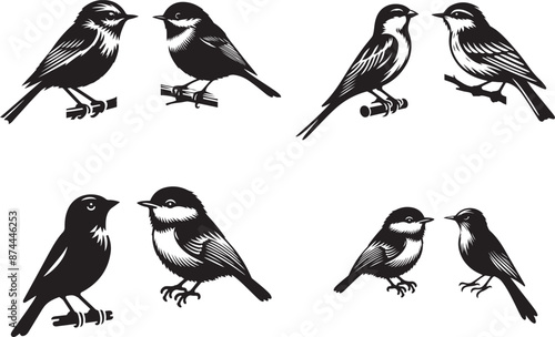 birds on a branch