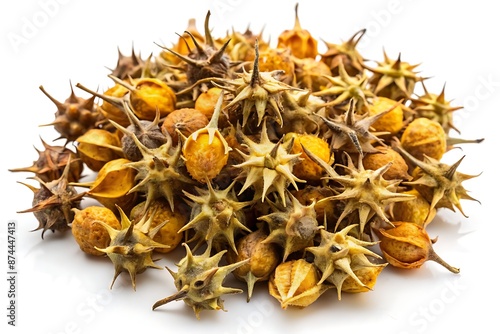 Dried Tribulus terrestris fruit scattered on a clean white background, its spiky yellow brown seeds and stems creating a natural, earthy, and organic composition. photo