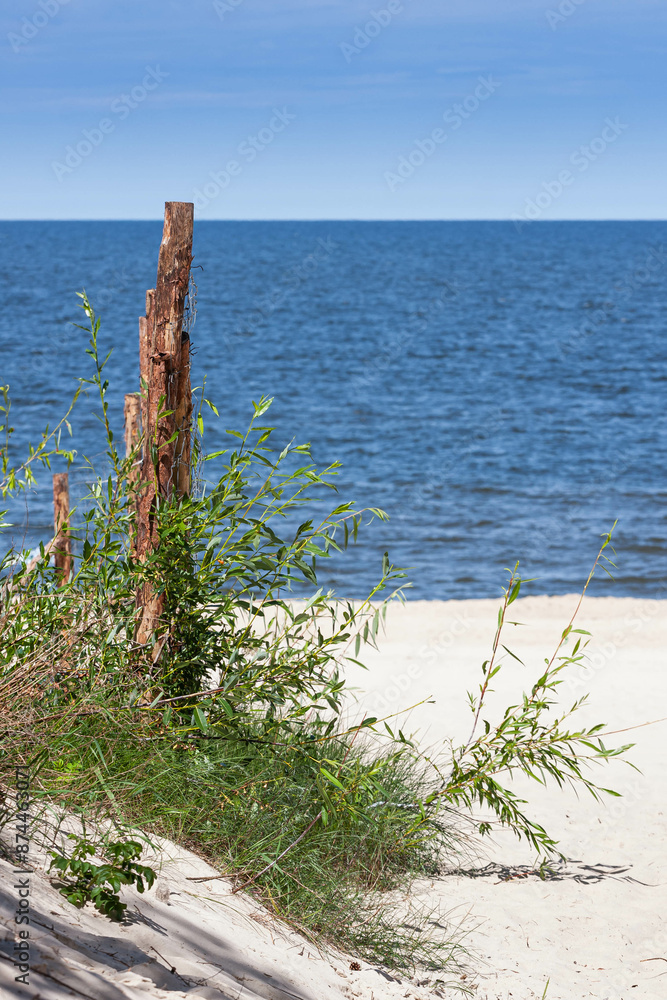 Bałtycka plaża