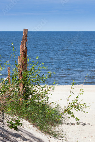 Obraz na płótnie Bałtycka plaża w salonie