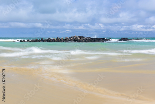 Islote con piqueros de patas azules en playa de arena blanca y mar turquesa - Isla Isabela - Islas Galápagos - Ecuador photo