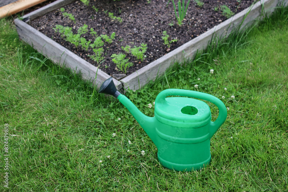 A green watering can standing on the ground, vegetables and herbs garden bed with young plants in background A green watering can standing on the ground, vegetables and herbs garden bed with young plants in background