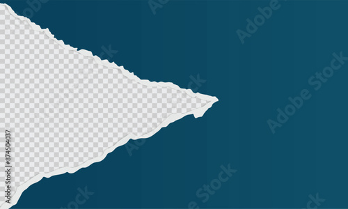 torn paper in vector