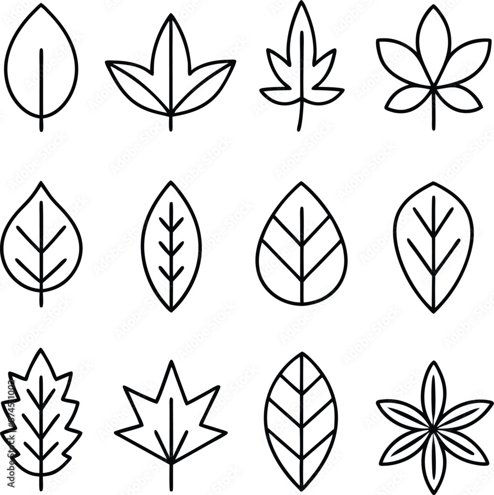 Fototapeta premium set of leaves icons