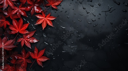 Autumn red leaves on wet black stone slab background photo