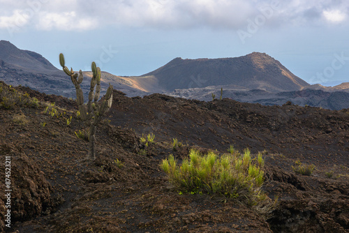 Foto Paisaje volcánico desértico - Volcán Sierra Negra - Isla Isabela - Islas Galápag