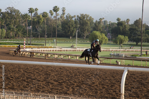 Horses Training at Santa Anita Racetrack
