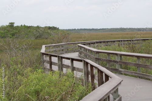 wooden pathway through wetlands in Florida.