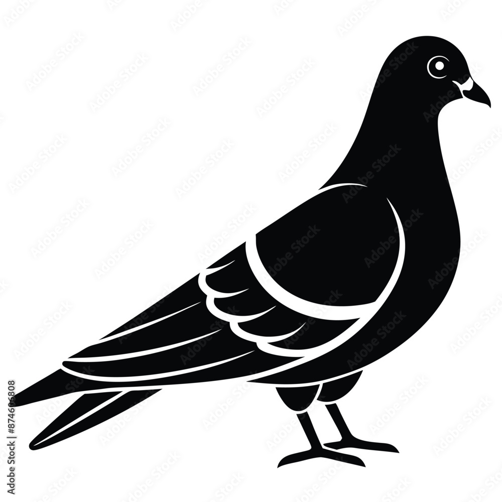 Fototapeta premium Pigeon Silhouette vector illustration black and white 