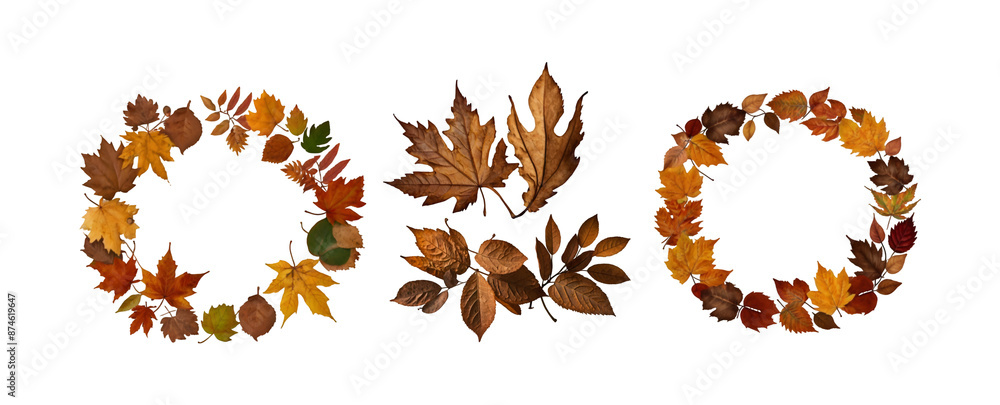 Beautiful autumnal leaves frame isolated on transparent background. png clip art design element. Beautiful autumnal leaves frame isolated on transparent background. png clip art design element.