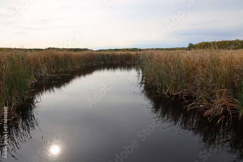 hazy skies cloud sun's reflection in prairie marsh waters