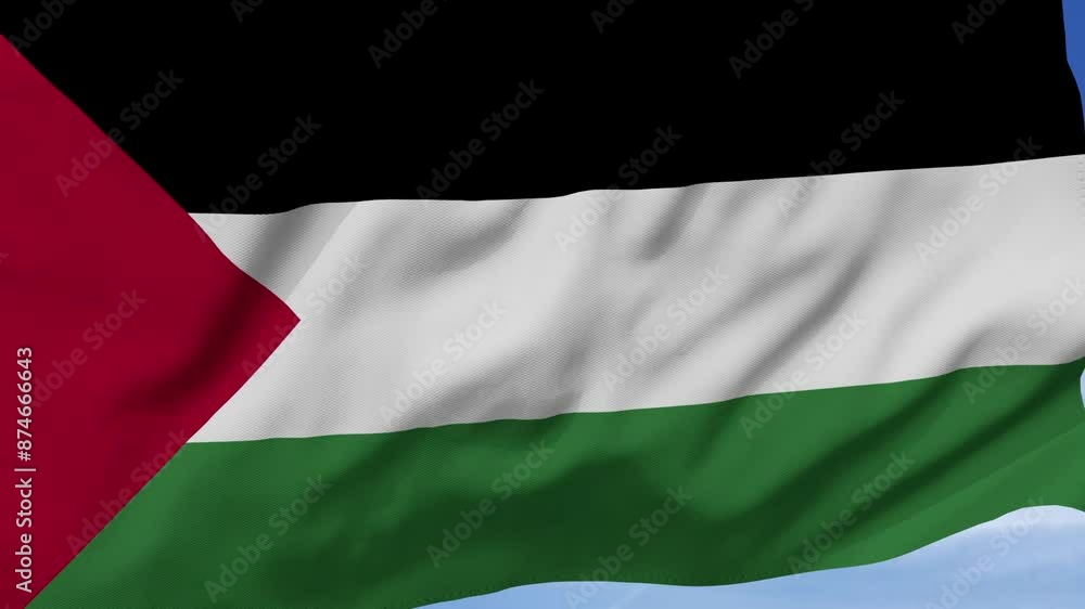 Palestine Flag Waving Zoom in Palestine Flag Waving Zoom in