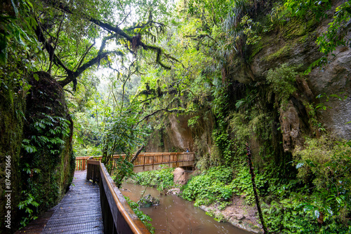 Mangapohue Limestone Gorge - New Zealand photo