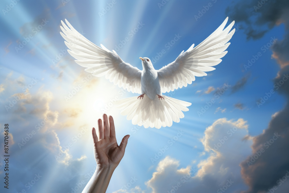 Obraz premium A hand and a flying white dove in the blue sky. The concept of freedom, International Day of Peace. 