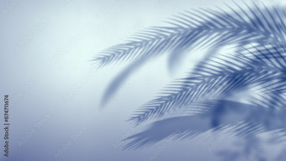 Palm Trees Shadow on White Wall Background Palm Trees Shadow on White Wall Background