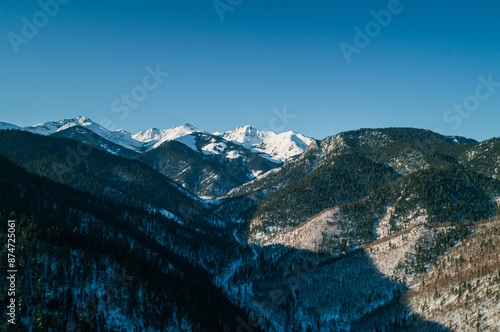 Aerial landscape mountains covered with forest and snow-capped peaks in the background.