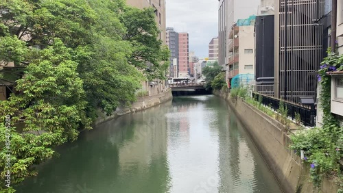 Wallpaper Mural city, river, water, urban, building, sky, cityscape, landscape, skyscraper, travel, downtown, bridge, trees, house Torontodigital.ca