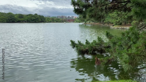 Wallpaper Mural water, lake, river, landscape, nature, sky, trees, summer, tree, green, reflection, blue, duck, pond, clouds, bird, forest, park, animal, stream Torontodigital.ca