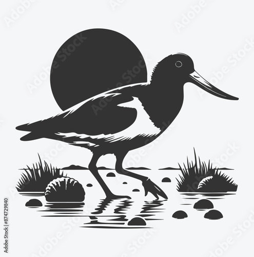 Photos Majestic Oystercatcher Silhouette, Capturing Nature's Elegance at Sunset