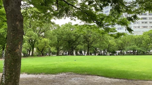 Wallpaper Mural city, grass, park, tree, nature, building, landscape, sky, trees, outdoors, exterior, nobody, field Torontodigital.ca