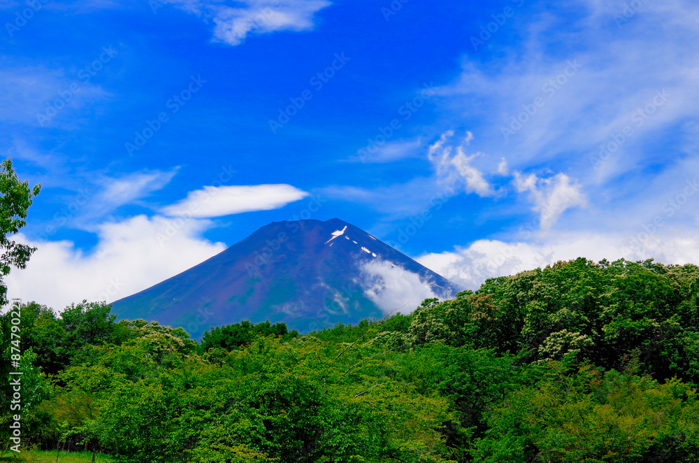 Fototapeta premium 富士山