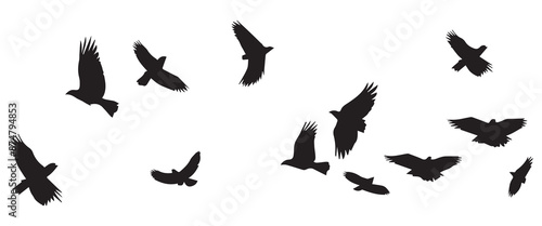 Flying birds silhouettes on white background. Vector illustration. isolated bird flying