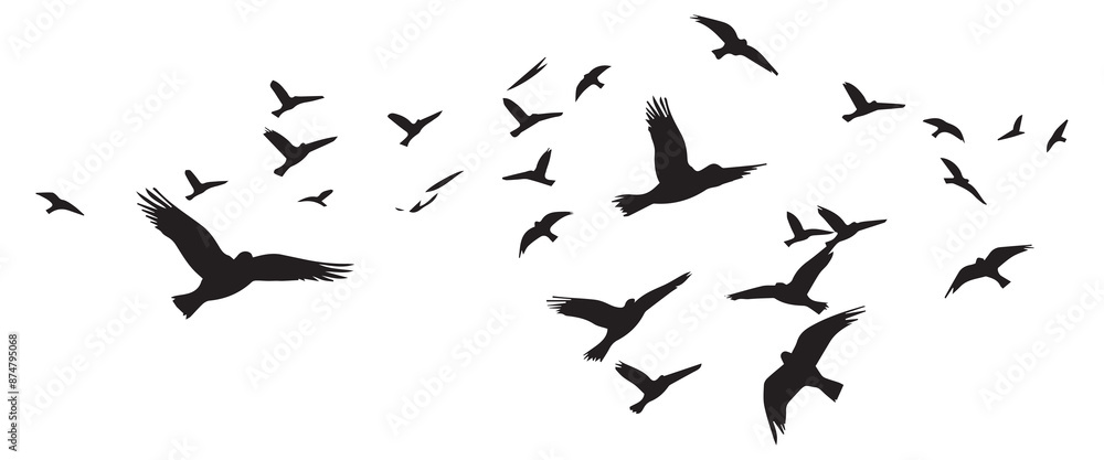 Flying birds silhouettes on white background. Vector illustration. isolated bird flying Flying birds silhouettes on white background. Vector illustration. isolated bird flying