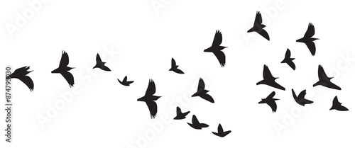 Flying birds silhouettes on white background. Vector illustration. isolated bird flying