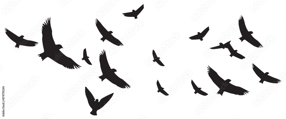Flying birds silhouettes on white background. Vector illustration. isolated bird flying Flying birds silhouettes on white background. Vector illustration. isolated bird flying