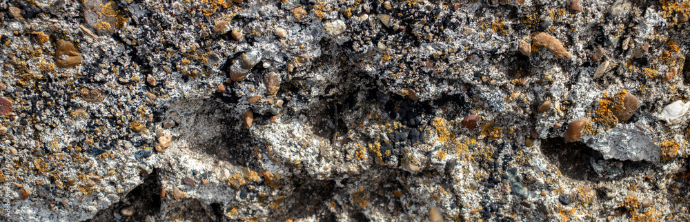 Moss on destroyed concrete, close-up. The structure of moss on stones. Color fantasy on the uneven surface of the remains of a concrete wall.