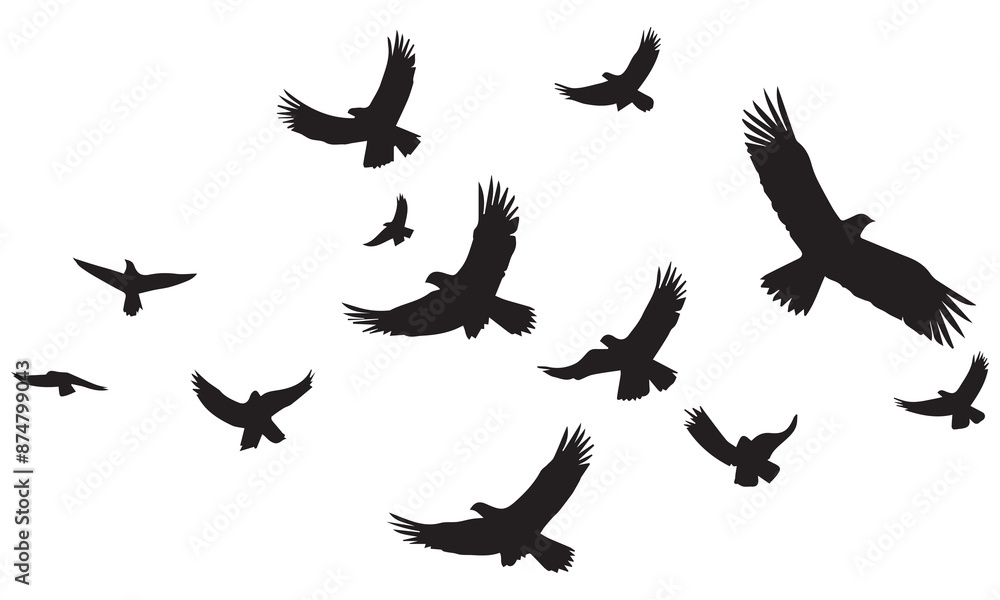 Obraz premium Flying birds silhouettes on white background. Vector illustration. isolated bird flying. tattoo design
