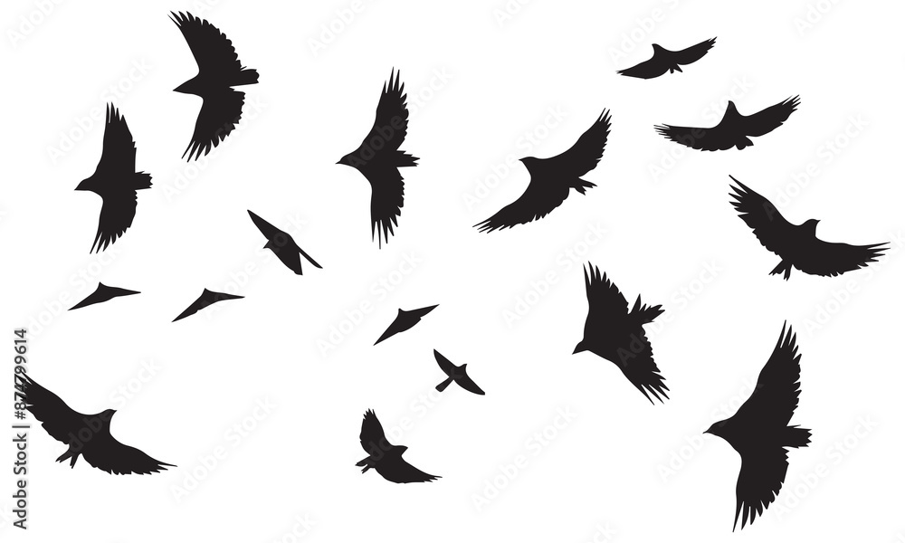 Silhouette Vector Of Condor Flying birds Silhouette Vector Of Condor Flying birds