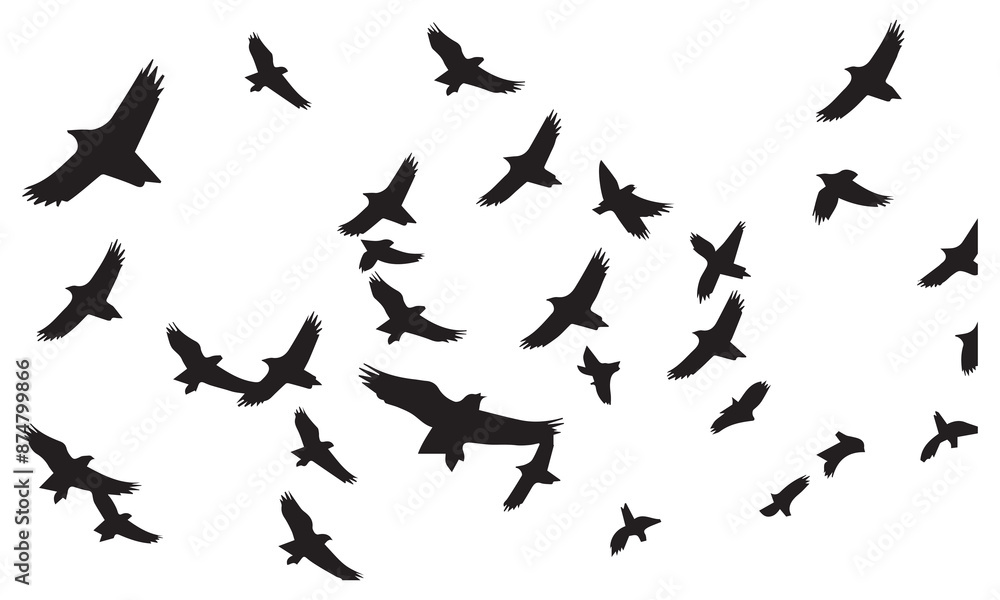 Naklejka premium Silhouette Vector Of Condor Flying birds