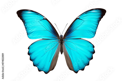 Beautiful cyan butterfly PNG with transparent background for design projects and creative applications