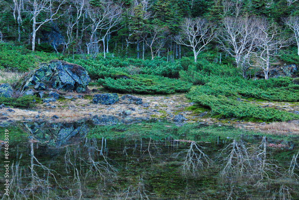 鏡池 群馬県 草津白根山 鏡池 群馬県 草津白根山