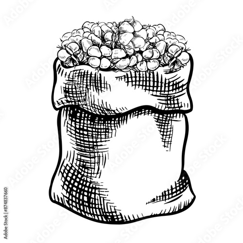 The cotton is organic. A canvas bag with a harvest of ripe cotton. Black and white, detailed, graphic, vector illustration. Isolate, hand-drawn on a white background. For packaging, labels and poster.