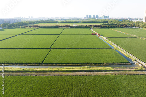 view of paddy field 