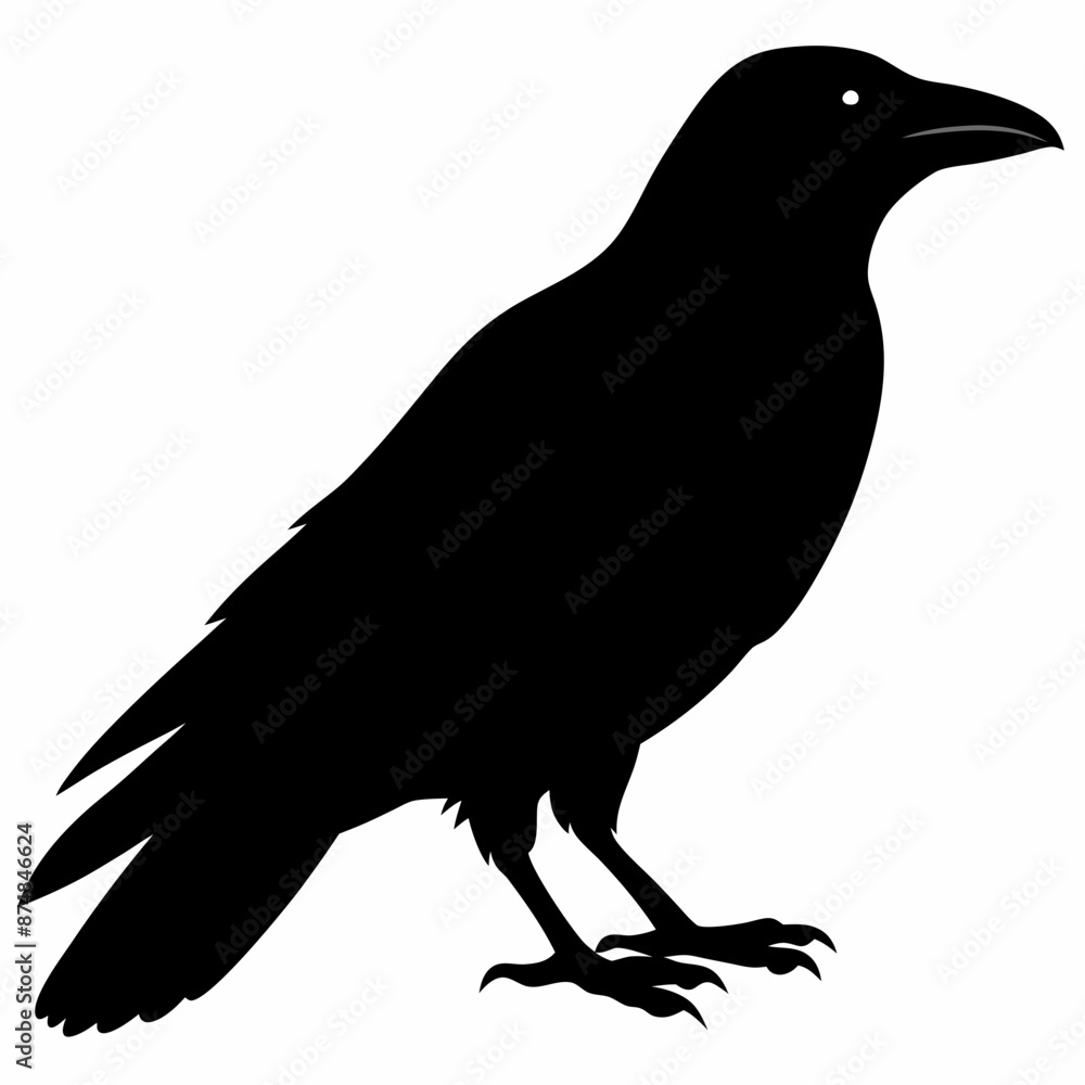 Obraz premium Crow vector illustration, bird isolated on white,Crow silhouette, eagle vector art