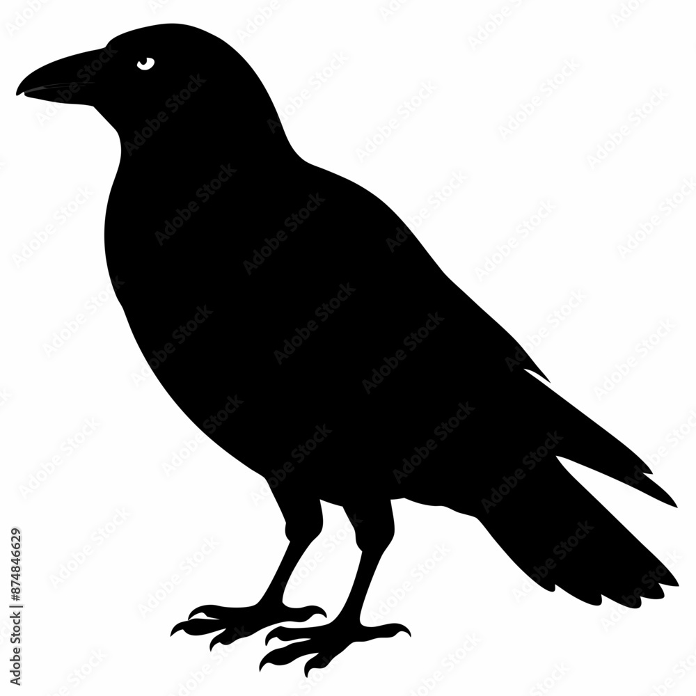 Crow vector illustration, bird isolated on white,Crow silhouette, eagle vector art Crow vector illustration, bird isolated on white,Crow silhouette, eagle vector art