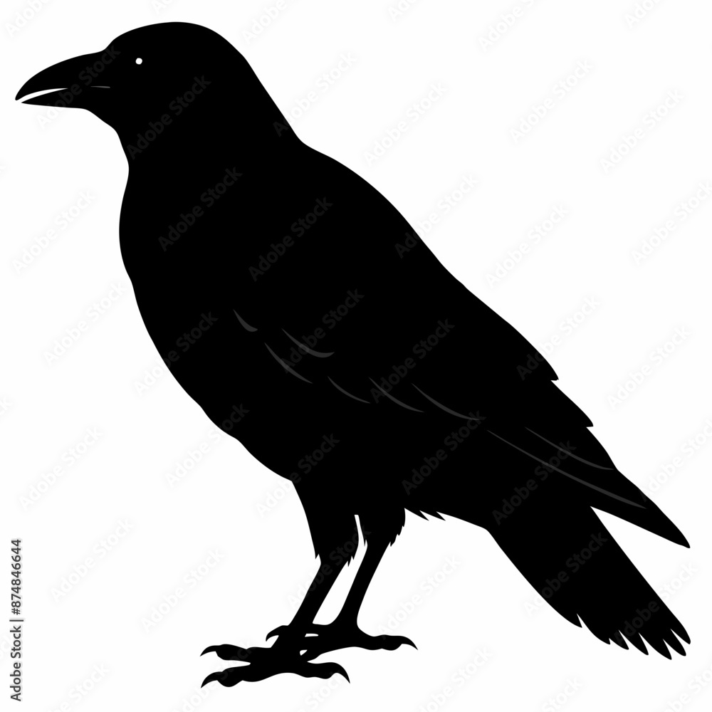 Fototapeta premium Crow vector illustration, bird isolated on white,Crow silhouette, eagle vector art
