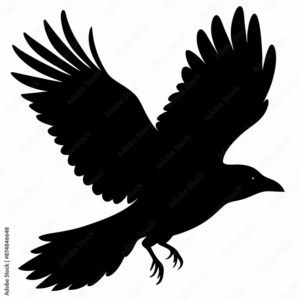 Fototapeta premium Crow vector illustration, bird isolated on white,Crow silhouette, eagle vector art