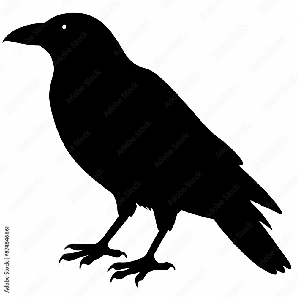 Crow vector illustration, bird isolated on white,Crow silhouette, eagle vector art Crow vector illustration, bird isolated on white,Crow silhouette, eagle vector art