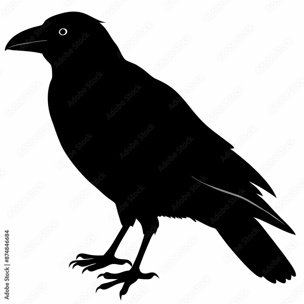 Fototapeta premium Crow vector illustration, bird isolated on white,Crow silhouette, eagle vector art