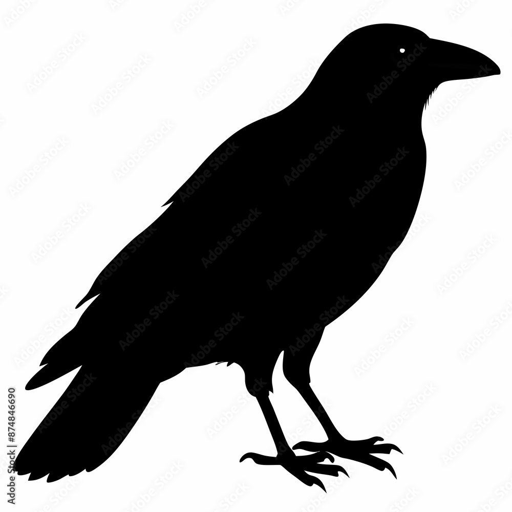 Fototapeta premium Crow vector illustration, bird isolated on white,Crow silhouette, eagle vector art