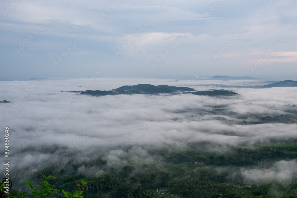 Fototapeta premium clouds over the forest.
