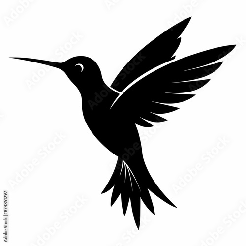 Hummingbird vector illustration, bird isolated on white, Hummingbird silhouette, dove vector art 