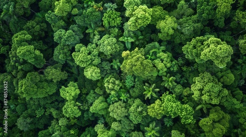 Aerial View With A Drone Camera Capturing Rainforest Trees, Promoting An Ecology With A Healthy Environment Concept © IntelliArt
