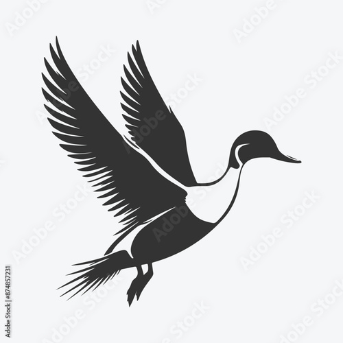 Majestic Pintail Silhouette, Capturing Nature's Grace in Shadow