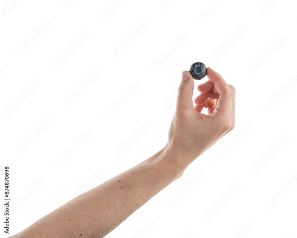 Man hand hold big blueberry isolated on white Man hand hold big blueberry isolated on white